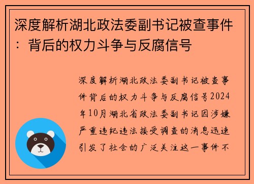 深度解析湖北政法委副书记被查事件：背后的权力斗争与反腐信号