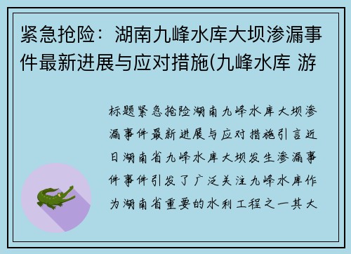 紧急抢险：湖南九峰水库大坝渗漏事件最新进展与应对措施(九峰水库 游泳)